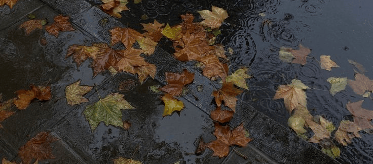 A Fall To-Do List: Everything Worth Trying While the Leaves Change